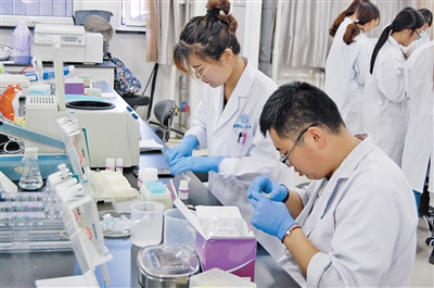 内蒙古大学生命科学学院基因工程实验室里,学生正在做实验。 本报记者 苏永生 摄