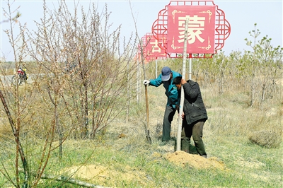 在道路两侧造林绿化。