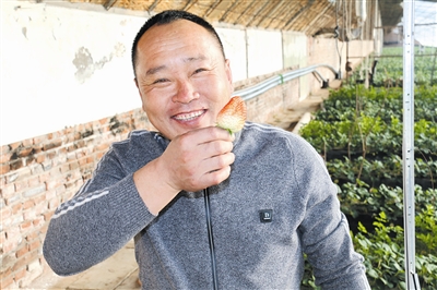 草莓上市了,路长山心情格外的好。