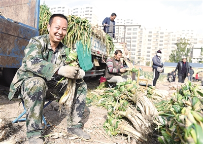 有了固定銷售點,銷量快、價格好,菜農很開心
