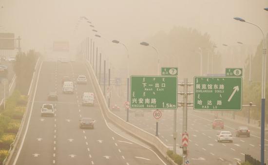 摄影/北方新报融媒体记者 牛天甲