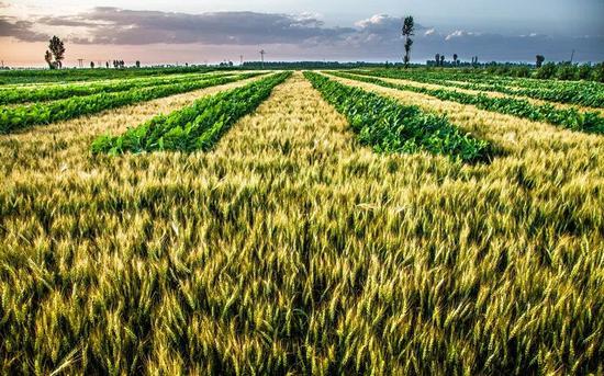 不远千里,只为你!