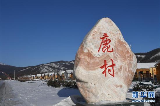 这是1月10日拍摄阿尔山市白狼镇鹿村。林区改革后,当地政府建设特色乡村——鹿村。美丽整洁的林区乡村景色加上特色养殖产业,这里每年夏季都会吸引很多游客。