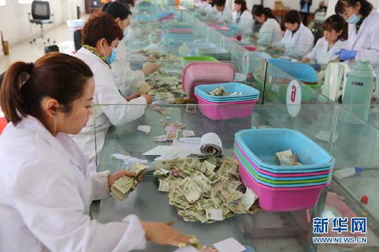 呼和浩特市公共交通总公司点钞中心职工正在点钞。