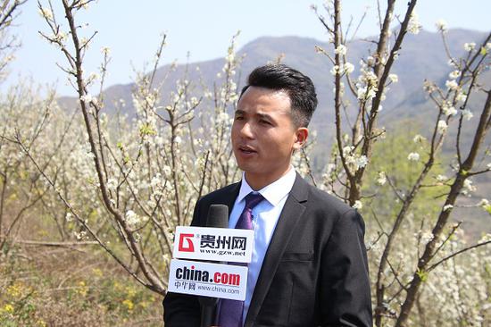 春权蜂糖李种植销售有限公司负责人李啟坤接受媒体采访
