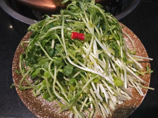 豆苗