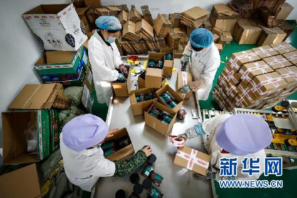 宁夏银川市永宁县闽宁镇禾美电商扶贫车间的女员工在包装枸杞(2020年11月10日摄)。新华社记者 冯开华 摄