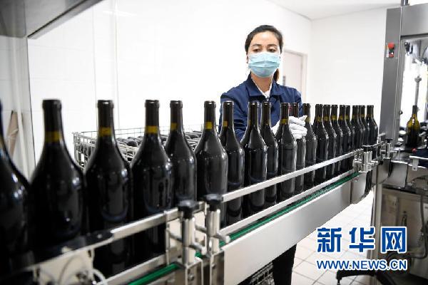 在宁夏银川市永宁县闽宁镇览翠酒庄,工作人员在包装红酒产品(4月21日摄)。新华社记者 唐如峰 摄