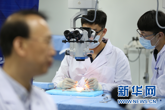 图为,采访过程中,任晓平的学生正在做实验。新华网才萌 摄
