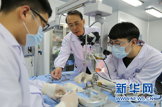 图为,任晓平在指导学生做大鼠脊髓损伤实验。新华网才萌摄