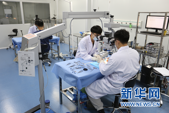 图为,在位于哈医大医疗转化中心的实验室里,任晓平的学生在做实验。新华网才萌 摄