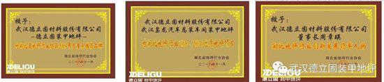 德立固品牌荣誉湖北省地坪行业创新发展领军人物