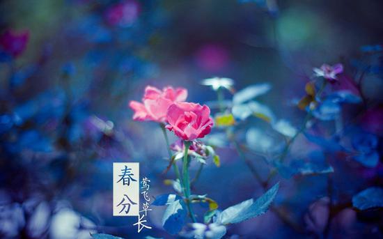 《踏莎行·雨霁风光》