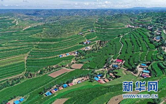 宁夏固原市彭阳县的梯田景观(2018年7月16日摄,无人机照片)。新华社记者 王鹏 摄