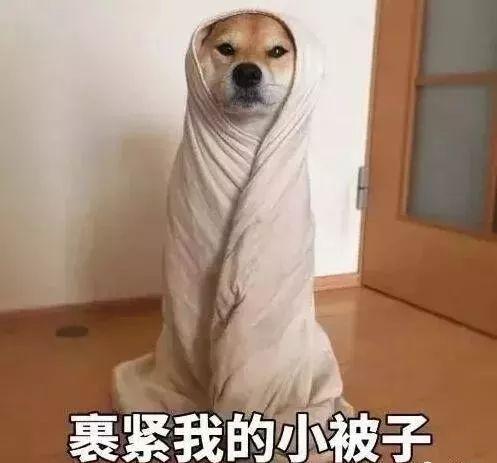 除了被窝,哪里都是室外,