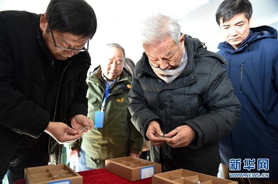 在宁夏彭阳县姚河塬商周遗址发掘现场,专家在研究出土的文物(12月1日摄)