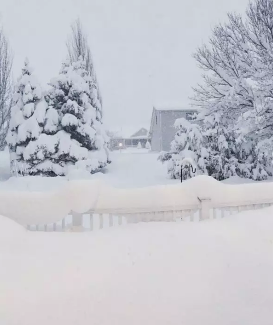 暴风雪带给北美人民一个白色圣诞节,