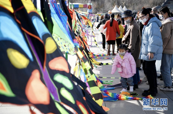 市民在宁夏银川市览山公园选购风筝(2月13日摄)。