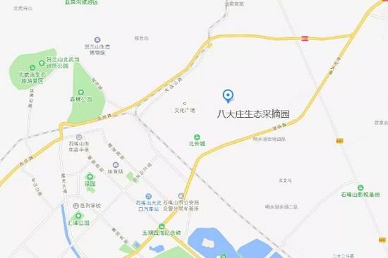 八大庄生态农庄108棚葡萄地