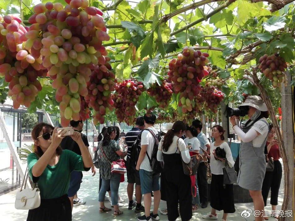 黄色的视频网站看