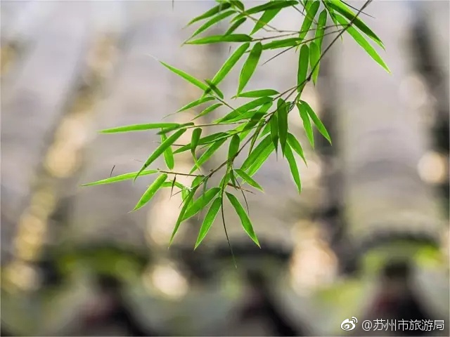 肏屄熟女视频