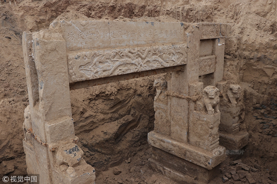 綠茵場上的贏家法則：深度解構香港賽馬貼士的致勝奧義 