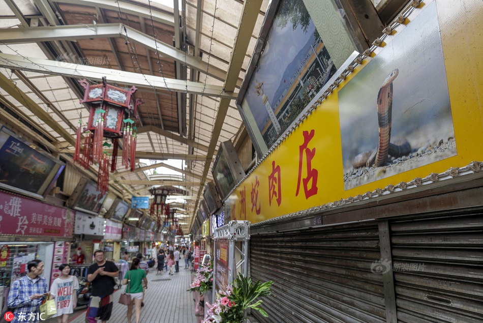 上海最好的代孕中心排名_上海试管供卵代怀助孕生子机构排名附助孕机构一览