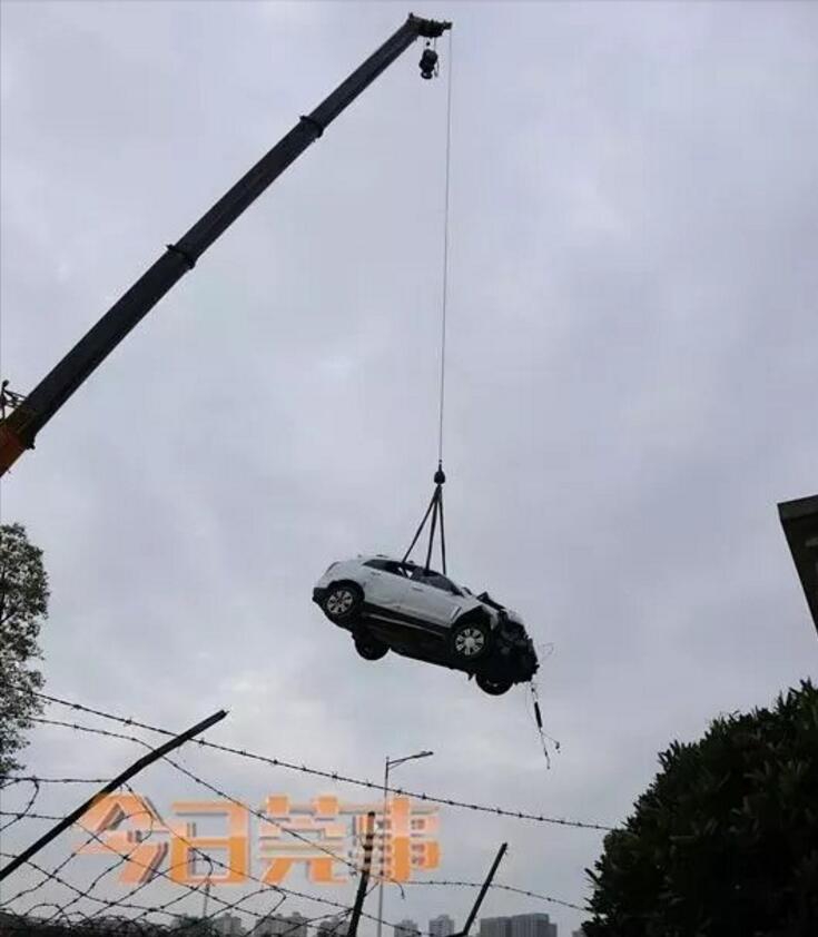 成品人直播推荐