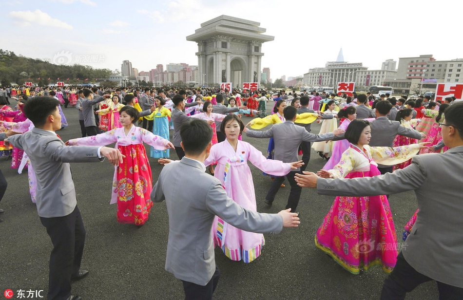 菜地蚂蚁用什么药可以杀死