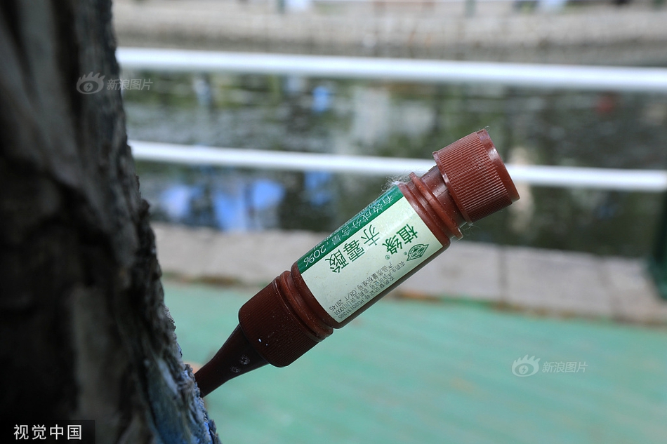 草莓视频色