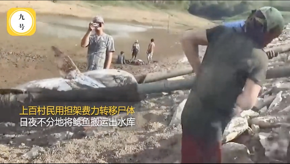 免费靠逼软件