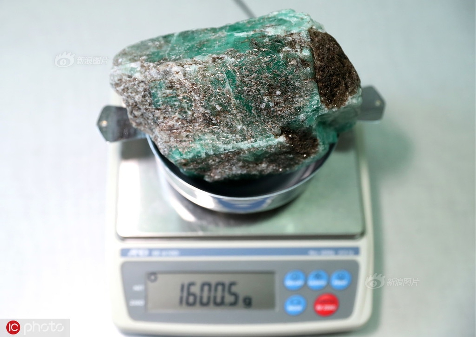 欧洲老妇性爱另类×××