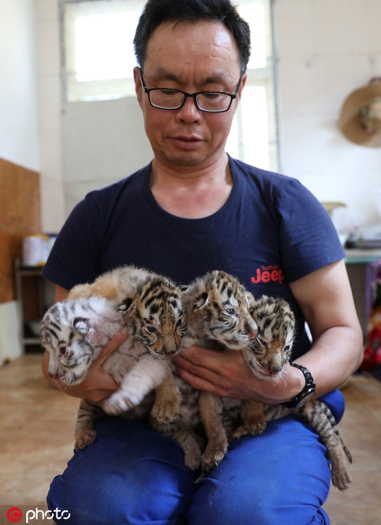 偷拍拉屎