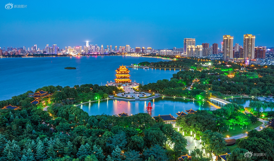 美国一级黄色片