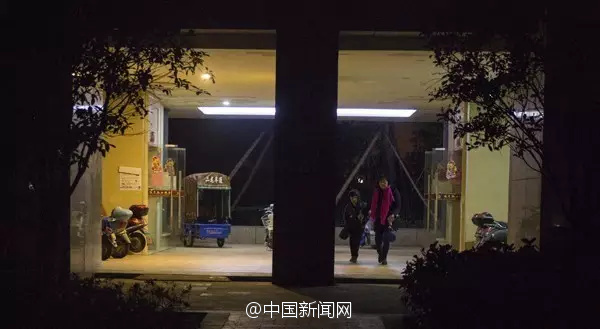 霧島櫻