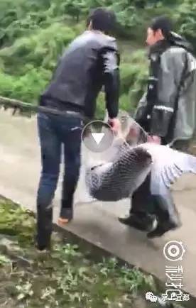 国产一区情侣