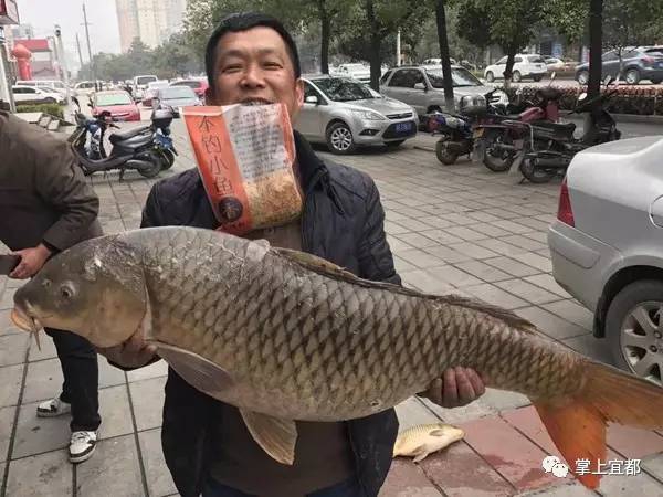 无马毛片无马
