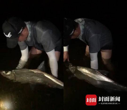 Fucking丰满大白屁股