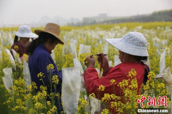 百度百度下载一个三级黄片欧美的最新的