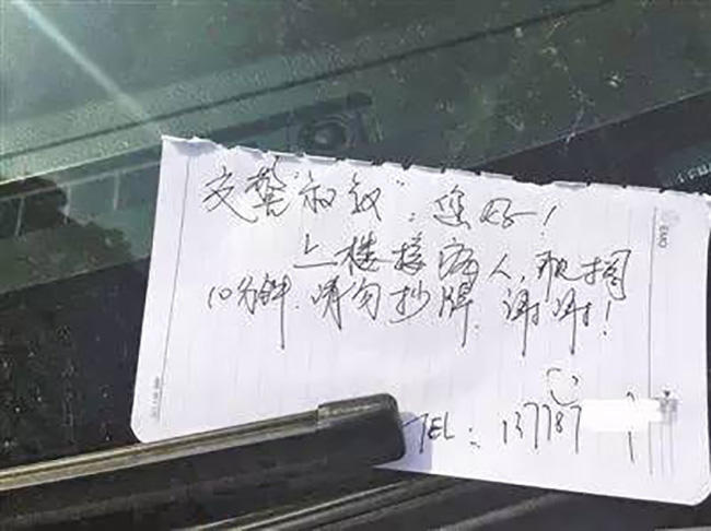 女贞操带