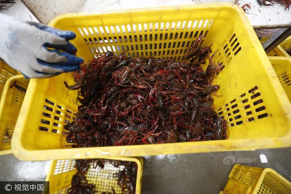 女邻居小婕子好紧水多