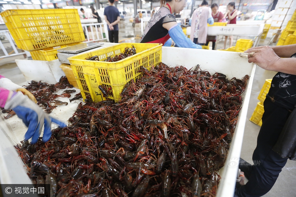 欧美午夜三级片