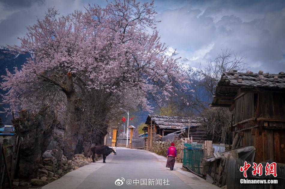 操逼黄片黄片