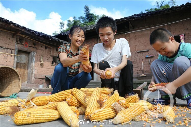 成年人高清无码免费