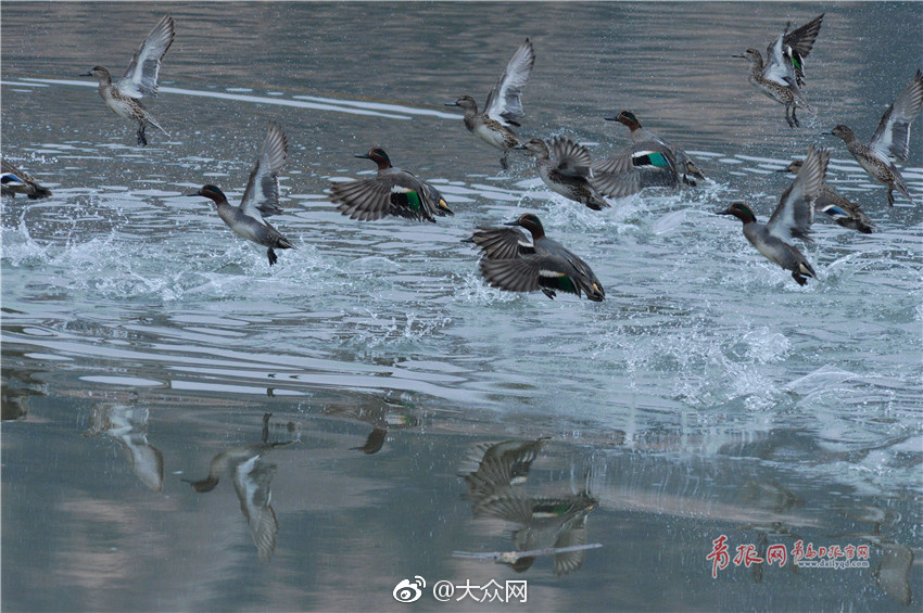 日本无遮挡