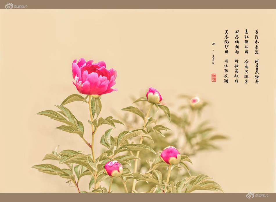 三级片黄片黄片黄片黄片黄片黄片黄片黄片黄片黄片黄片黄黄色