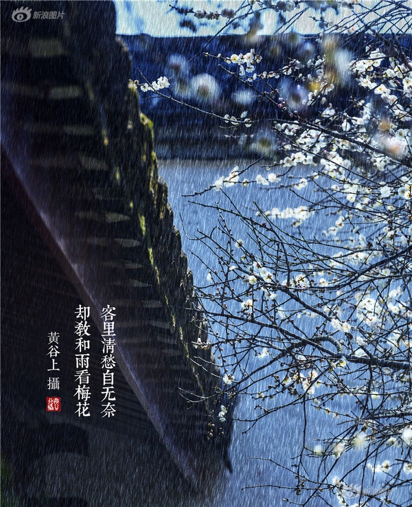 张筱雨两腿玉门打开