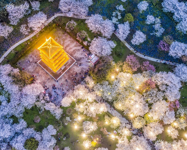 舔鸡吧高潮网站