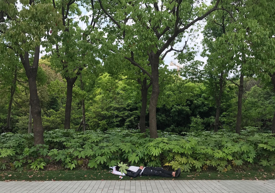 free性满足hd性bbw乐趣