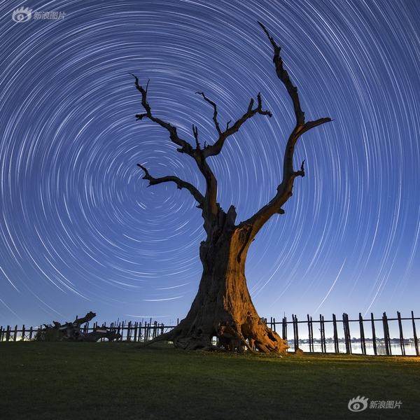 星野千紗